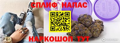 МДПВ Кунгур