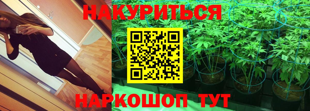 Канабис планчик  Бошки марихуана OG Kush  Вход с VPN  Карачаевск  Бошки марихуана SATIVA & INDICA 